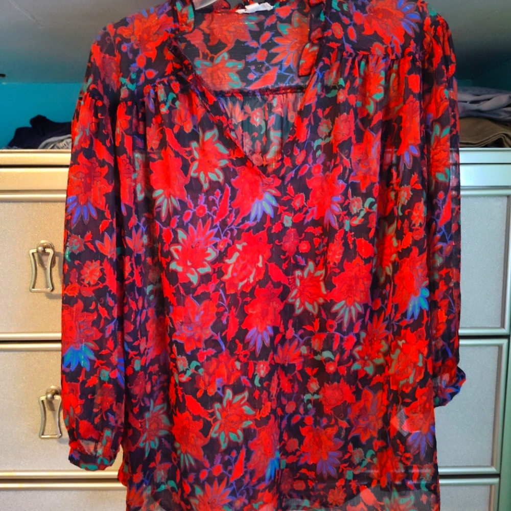 Sheer blouse